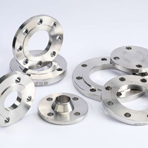 mat bich inox 316 bs pn10 san pham 2