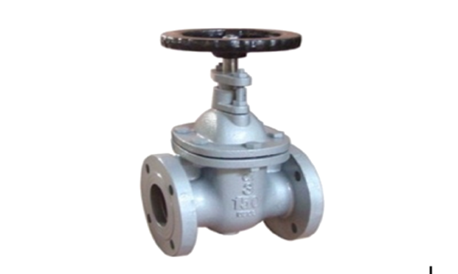 VAN CỔNG GANG TAY QUAY NỐI BÍCH