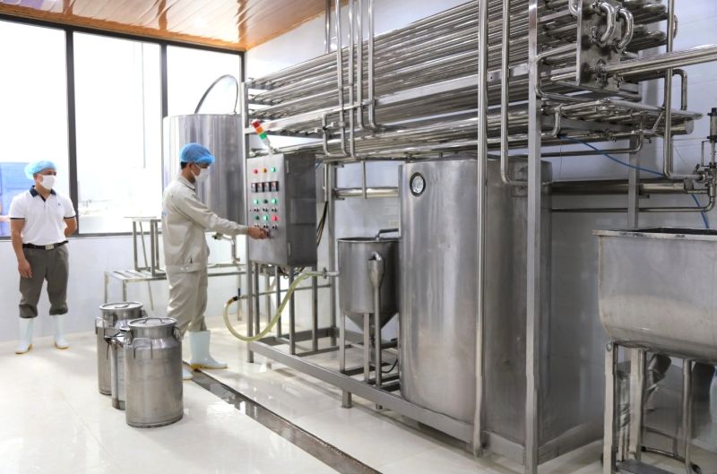 he-thong-cip-tram-thu-gom-sua he thong cip tram thu gom sua