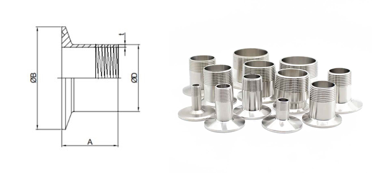 Cấu tạo chi tiết của đầu ren ngoài mặt clamp vi sinh inox 304